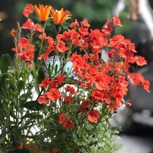 Meet your Posher, Mikayla